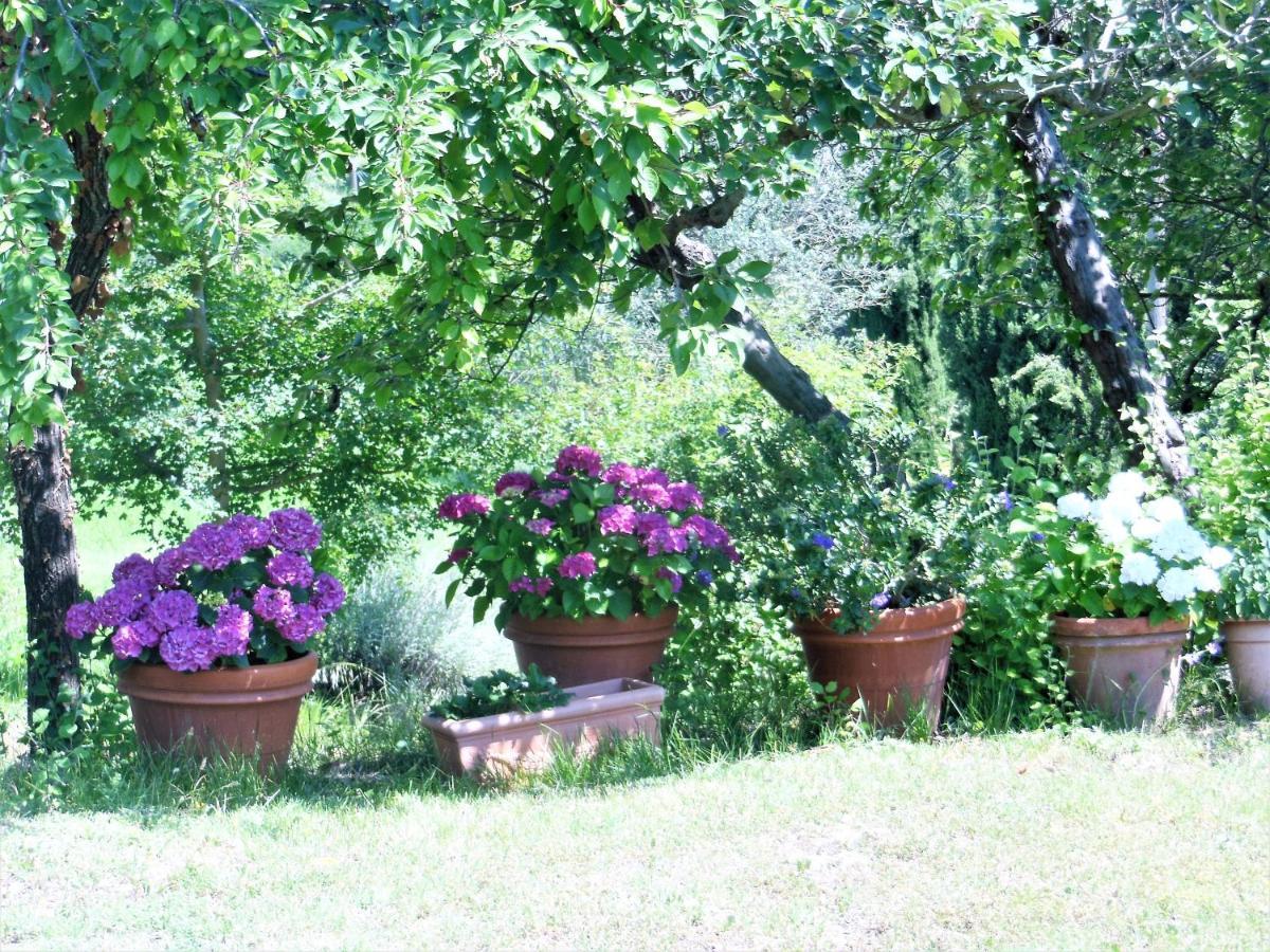 Villa La Fontaiola à Le Piazze Extérieur photo