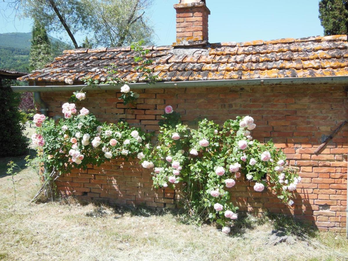 Villa La Fontaiola à Le Piazze Extérieur photo