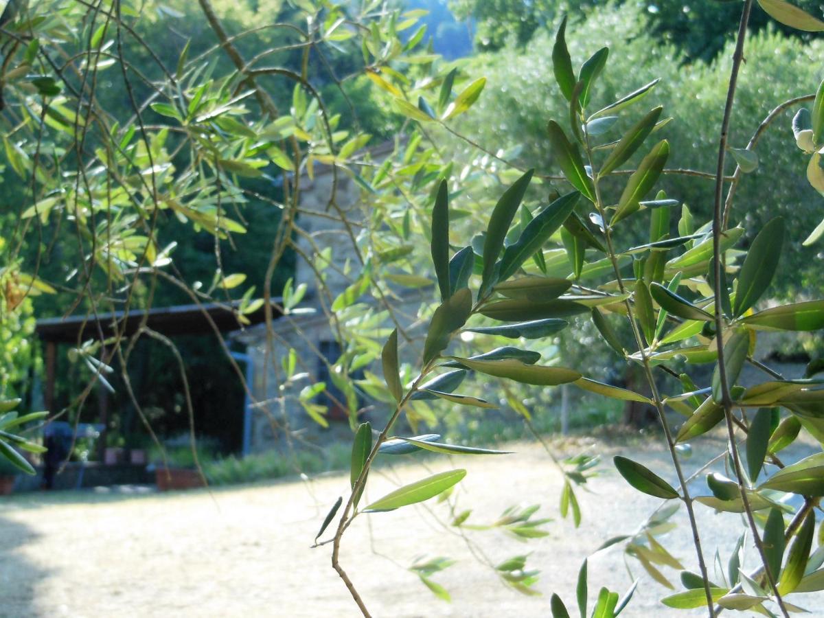 Villa La Fontaiola à Le Piazze Extérieur photo